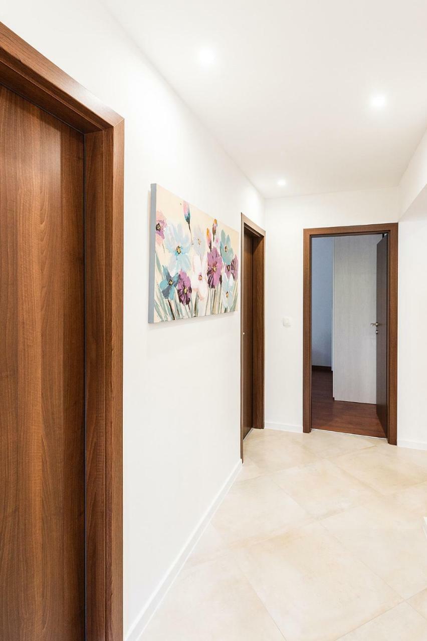 Apartment Auretta Novigrad Istria 外观 照片